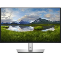 LCD Monitor|DELL|P2225H|21.5"|Business|Panel IPS|1920x1080|16:9|100 Hz|Speakers|Swivel|Pivot|Height adjustable|Tilt|210-BMHD